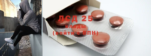 дживик Абаза