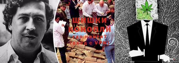 дживик Абаза