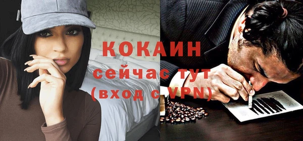 дживик Абаза