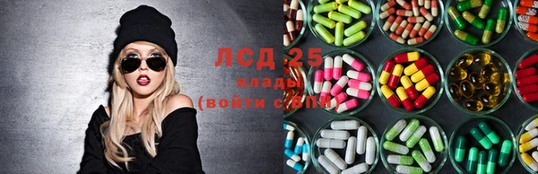 дживик Абаза