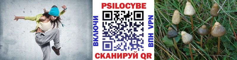сайты даркнета как зайти  Холм  Галлюциногенные грибы мицелий  MEGA ONION 