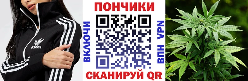 Шишки марихуана Bruce Banner  Холм 